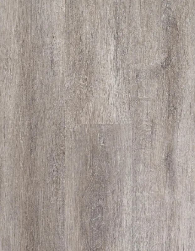 Regina Egibi Floors – panele winylowe SPC na klik 5 mm